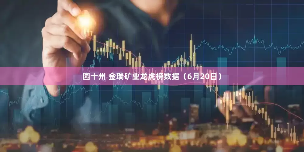 园十州 金瑞矿业龙虎榜数据（6月20日）