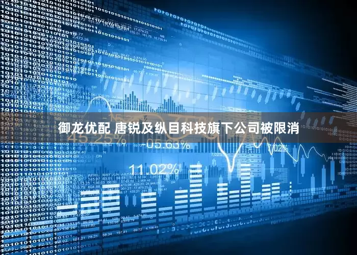 御龙优配 唐锐及纵目科技旗下公司被限消